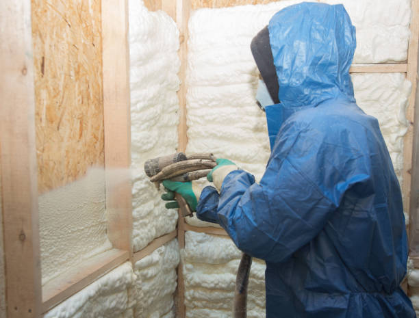 Best Attic Insulation Installation  in Lake Barrington, IL